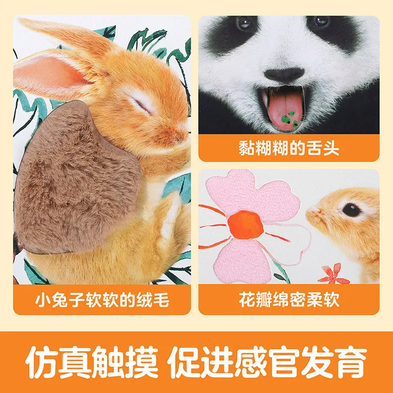 乐乐趣0-3岁触摸纸板晚安绘本两本装（细节图 1）