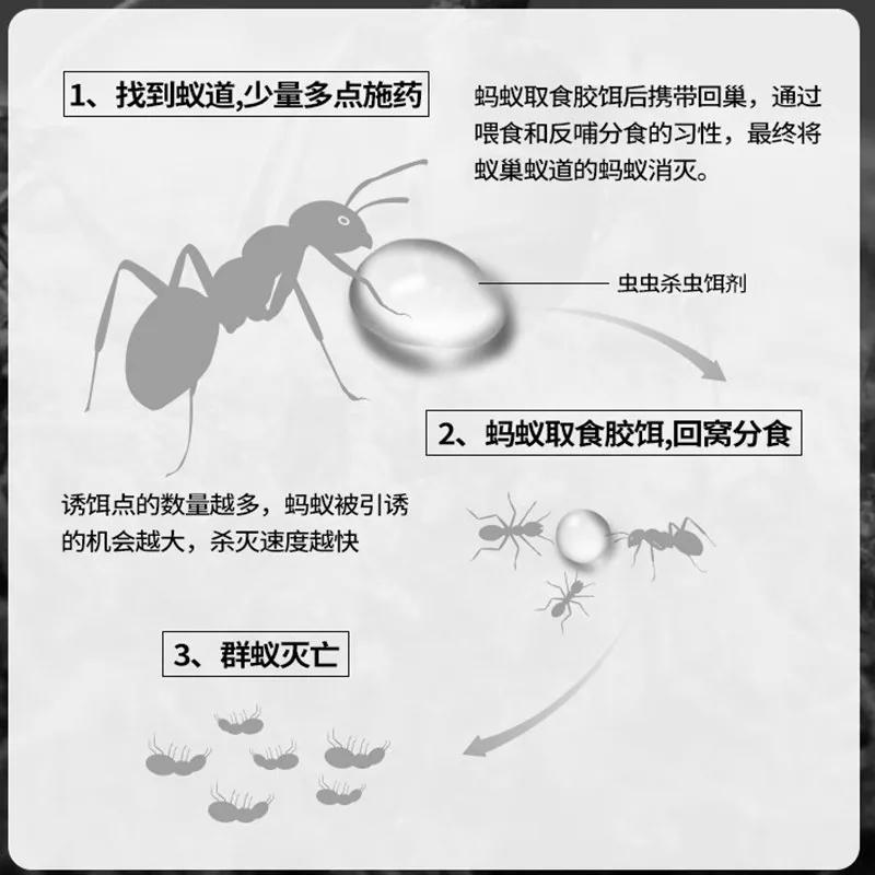 虫虫战队灭蚂蚁药无毒胶饵剂（细节图 2）