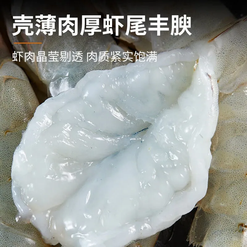 国货严选旗舰厄瓜多尔白虾3斤净重2.8斤（细节图 2）