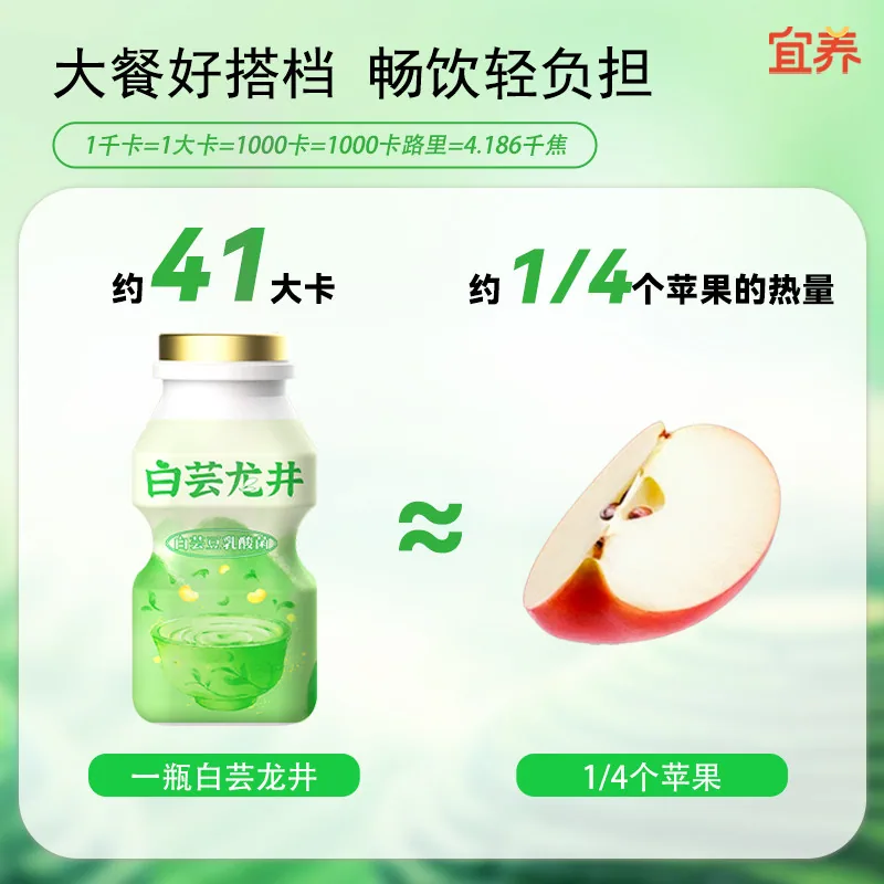 宜养乳酸菌100g*24瓶