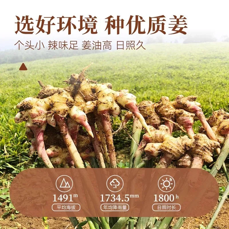 耶派食品云南小黄姜粉220克