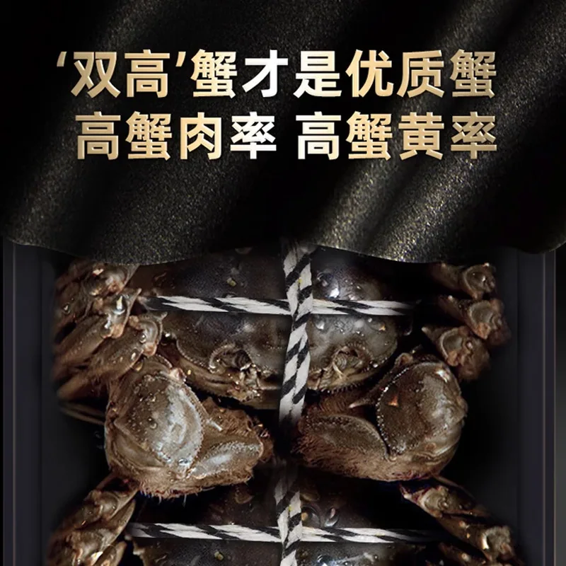 蟹太太大闸蟹8只装