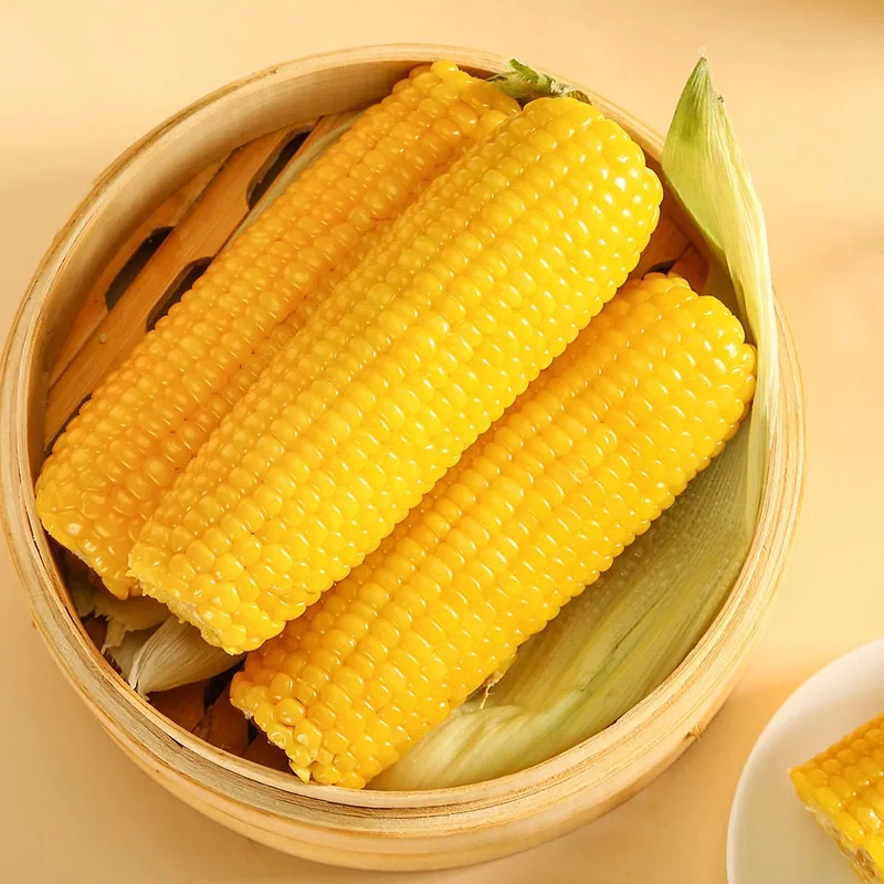 一支鲜东北黄糯玉米10棒/2200g