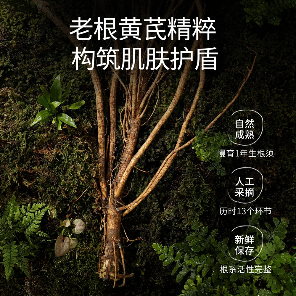 春娟保湿滋润黄芪面霜30g罐装主图（细节图 1）