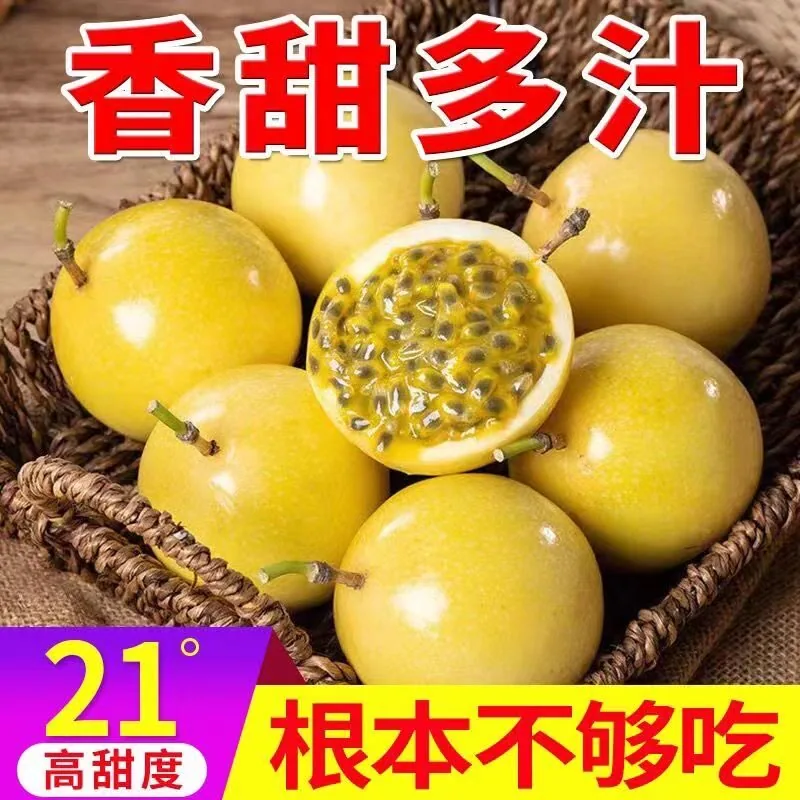 正宗钦蜜9号黄金百香果2.5斤装金黄果肉（细节图 1）