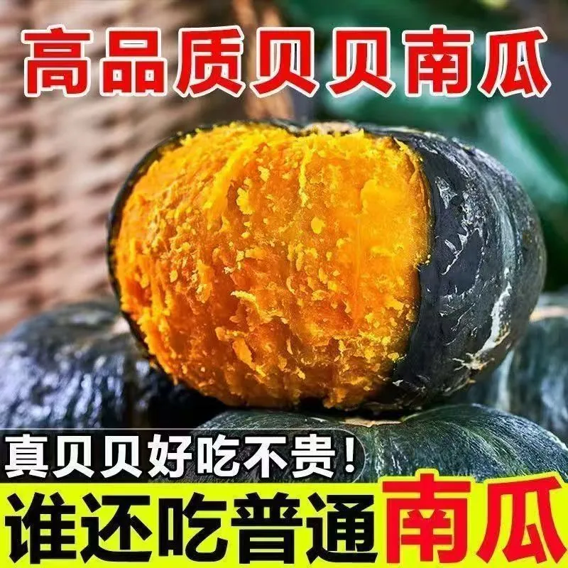 官方国货甄选贝贝南瓜4.5斤装（细节图 2）