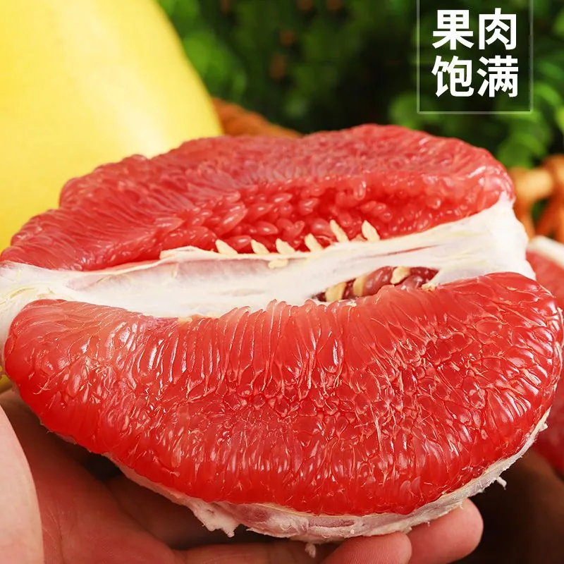 天天特卖工厂福建红心柚子4.5斤