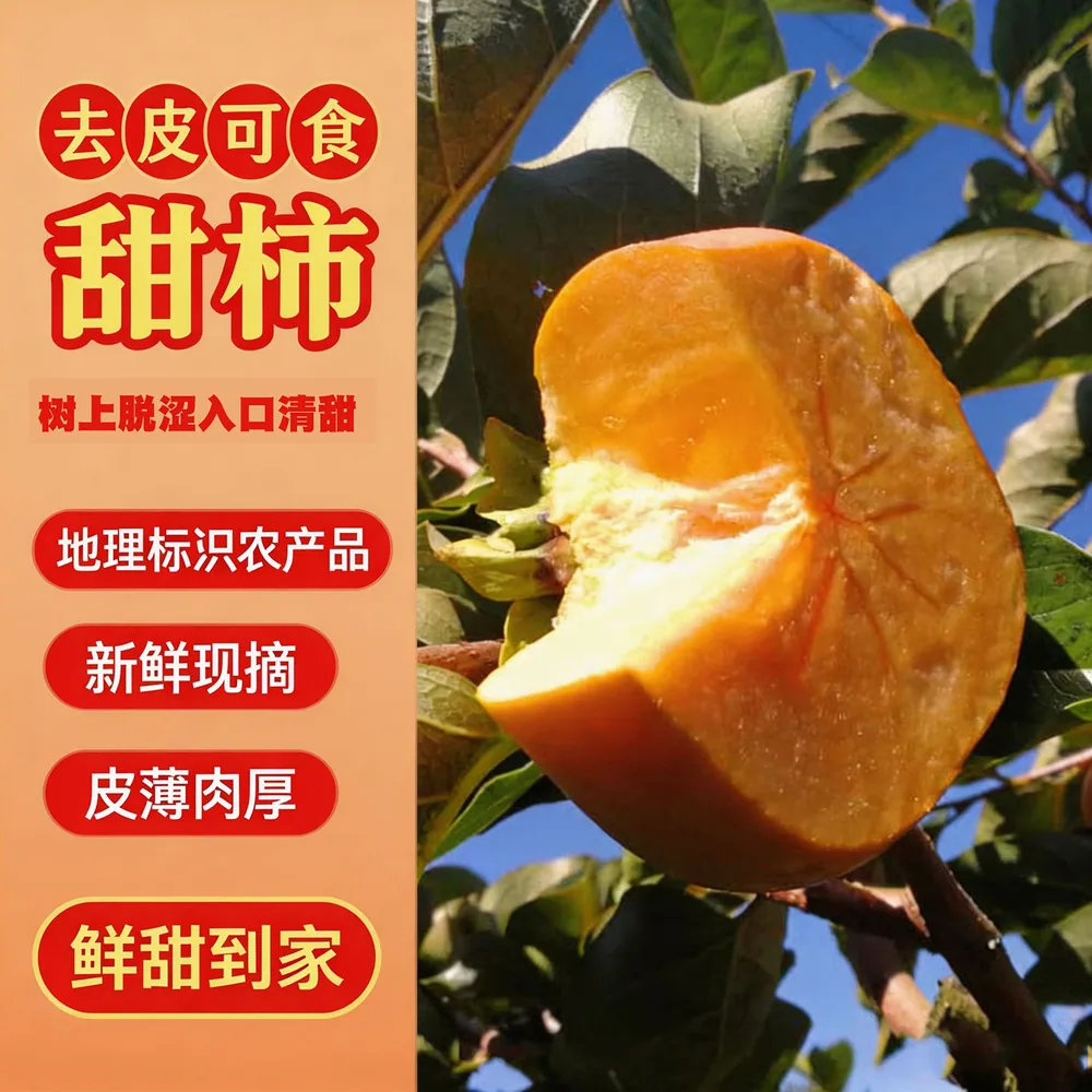 滇老头云南冰糖心脆甜脆柿子3斤装（细节图 1）