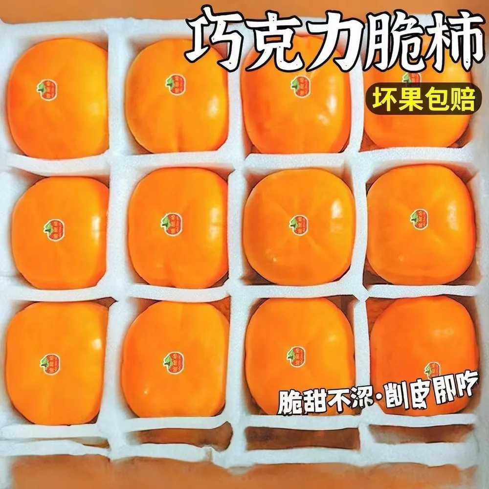 阳丰脆柿子4.5斤