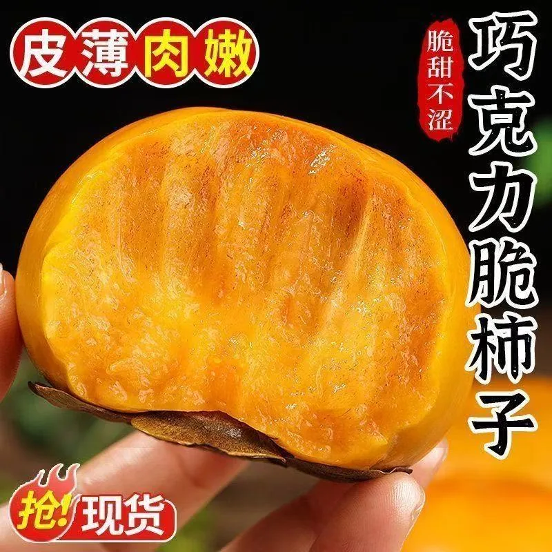 阳丰脆柿子净重4.5斤大果整箱（细节图 1）