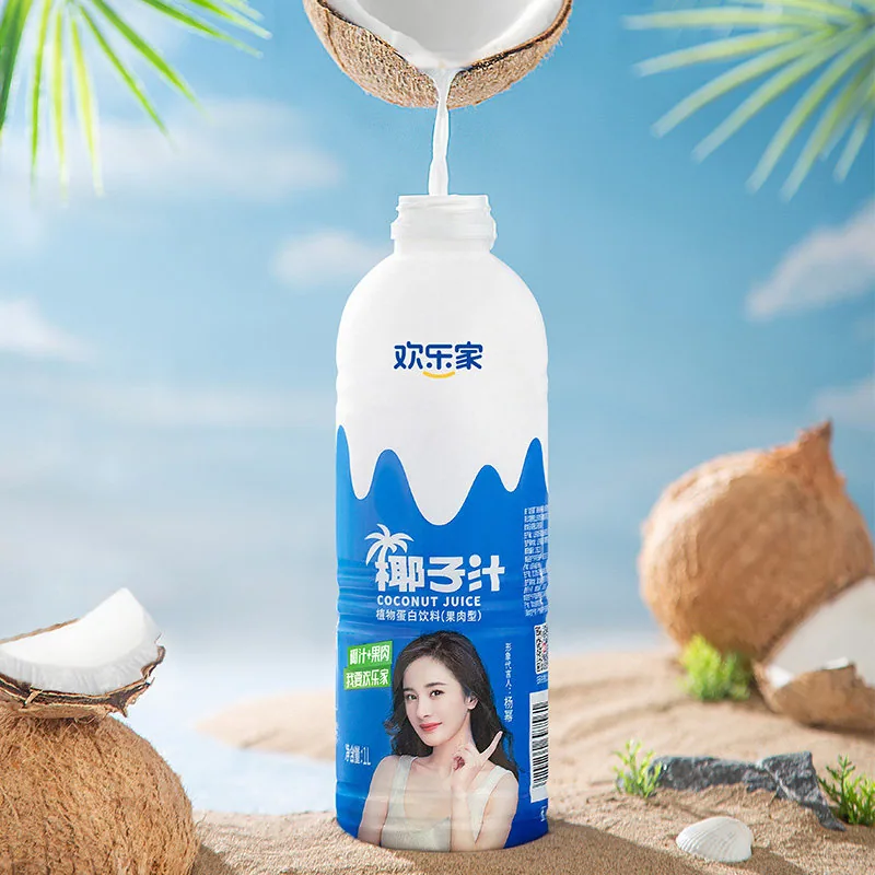 欢乐家整箱1L*6瓶椰汁植物蛋白饮料（细节图 1）