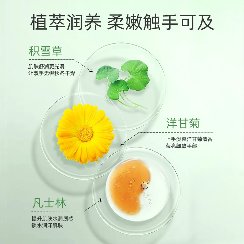 WHSA洋甘菊凡士林倍润护手霜两瓶装（细节图 1）