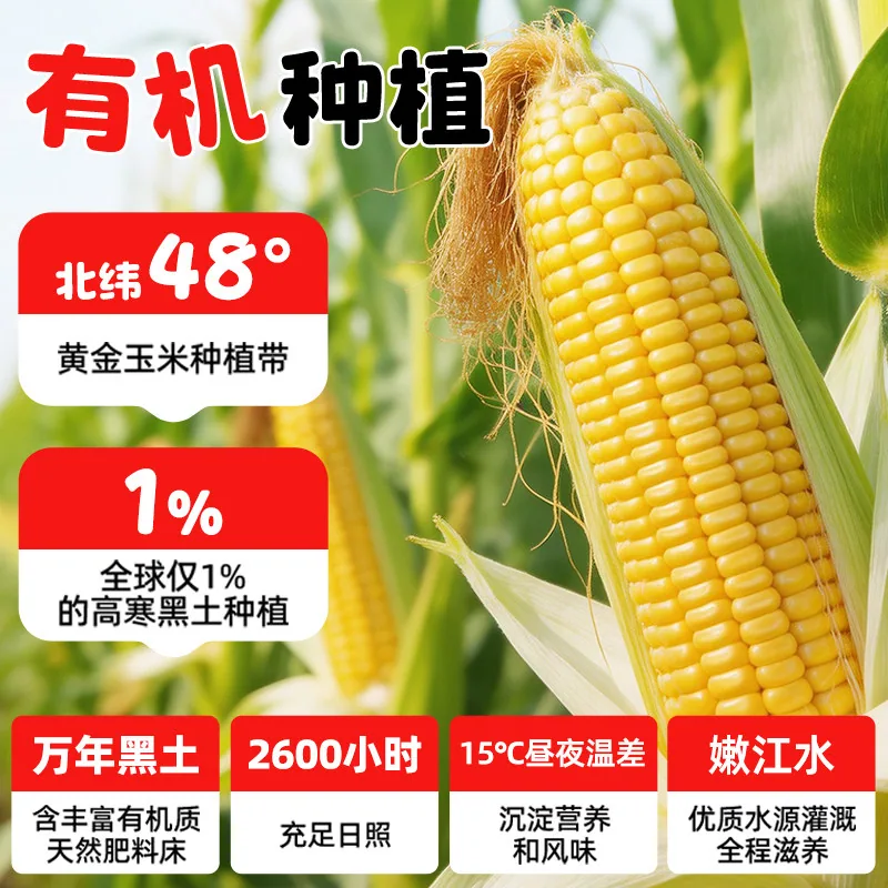芽芽乐有机脱皮甜玉米粒10袋装（细节图 1）