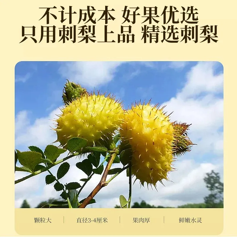茶舒语刺梨全果原浆250ml