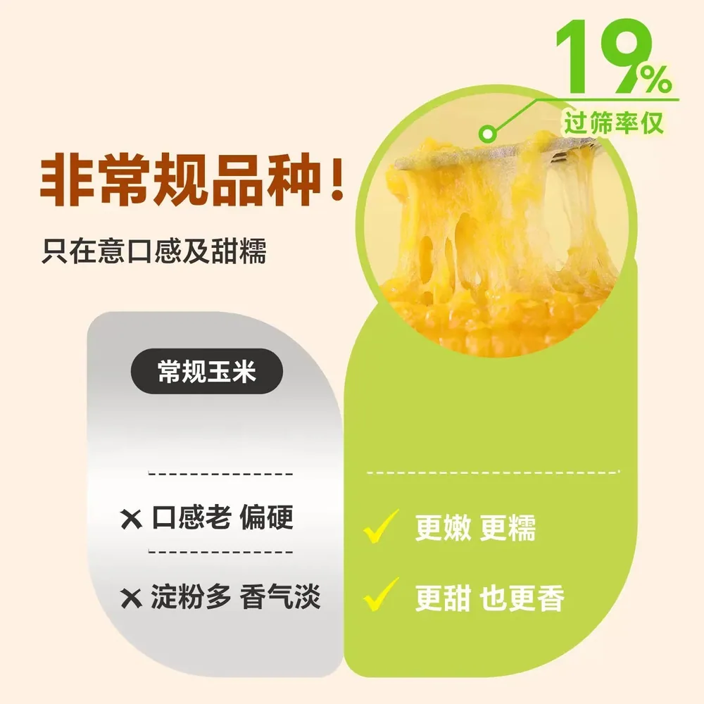 邹有才玉米300g*8根独立包装即食（细节图 1）