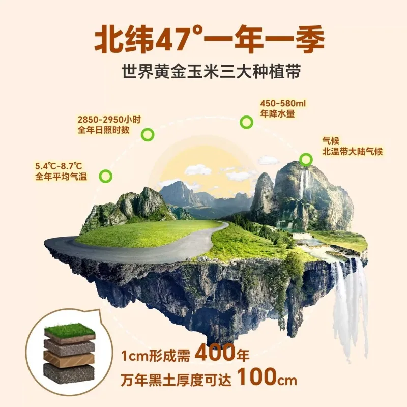 邹有才玉米300g*8根独立包装即食（细节图 2）