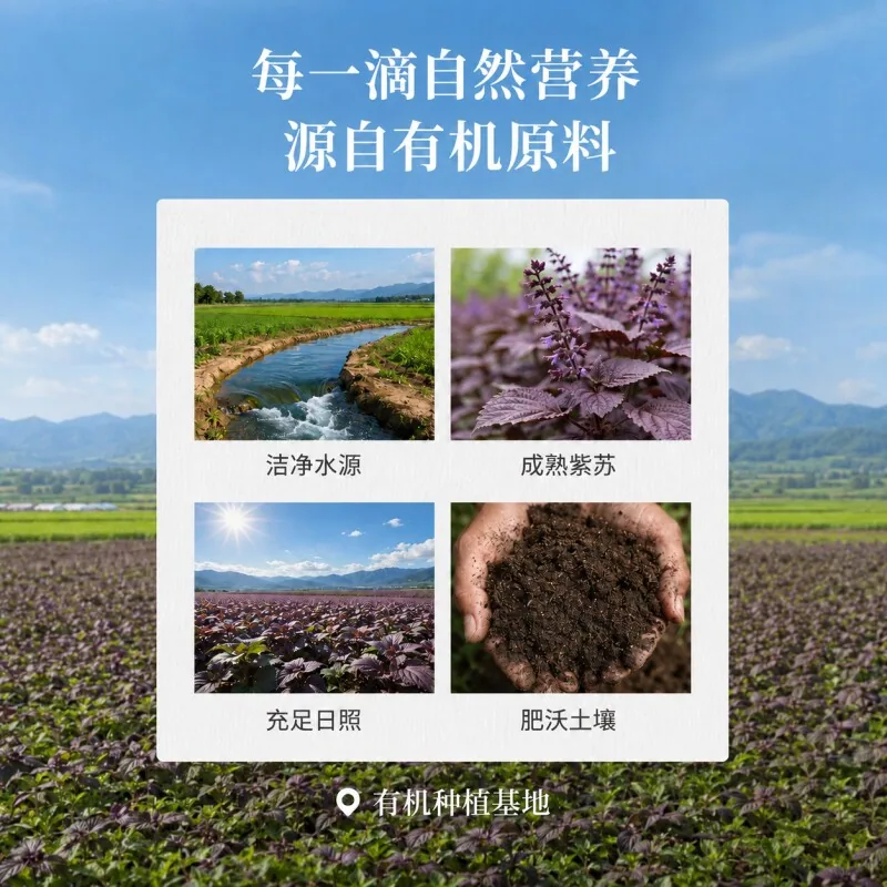 赫莉西亚紫苏籽油258ml一瓶装（细节图 1）
