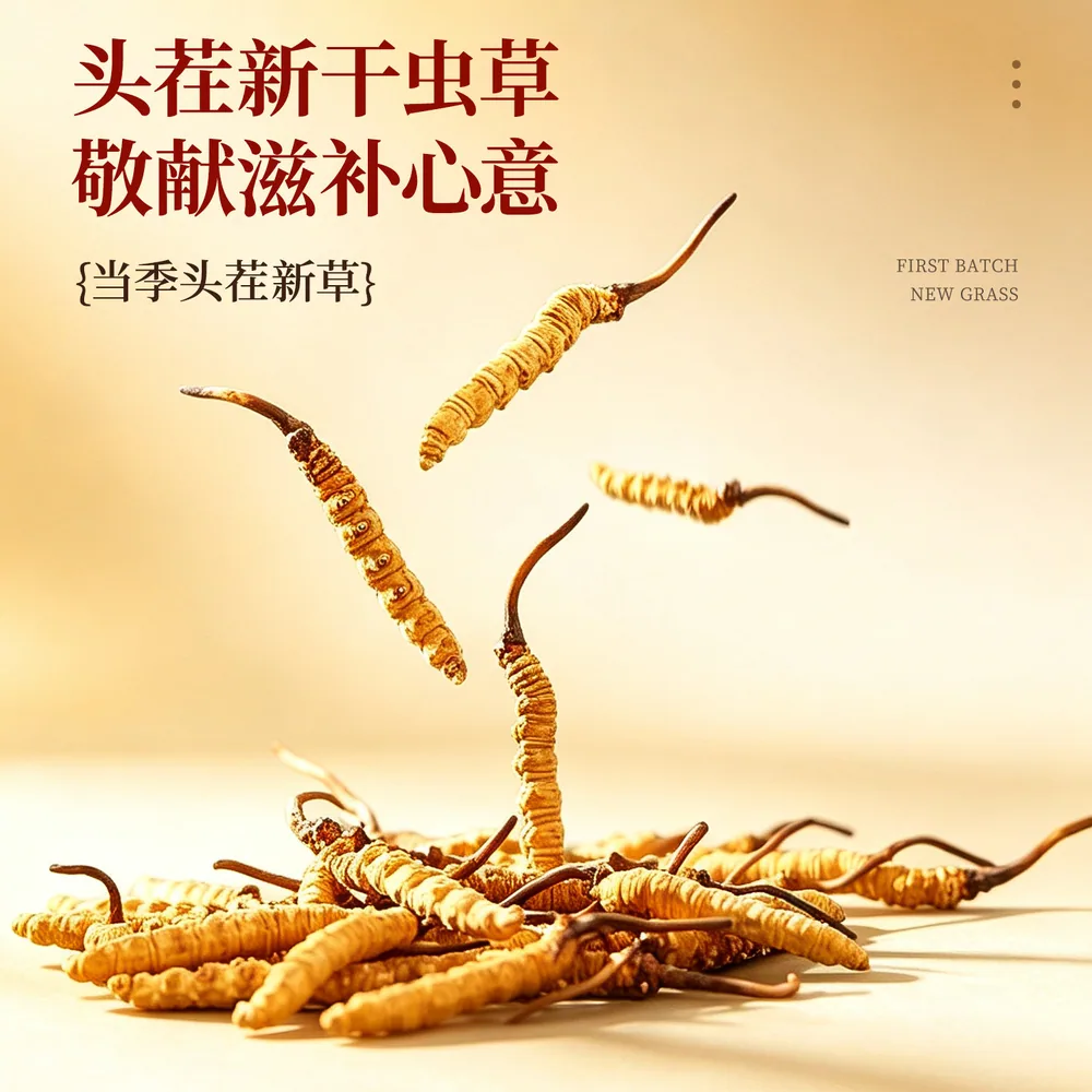 柏克森冬虫夏草头茬新鲜干草