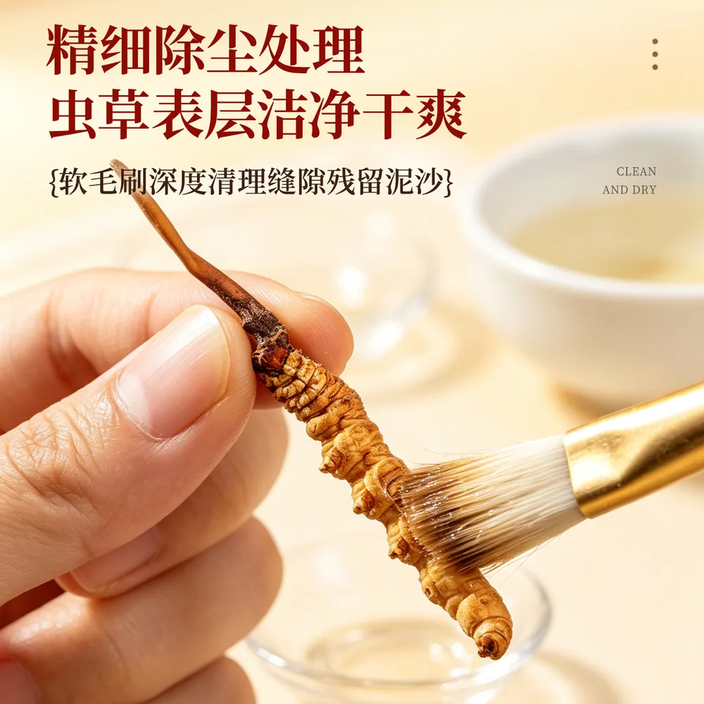 柏克森冬虫夏草头茬新鲜干草4根一克（细节图 2）