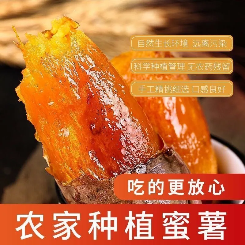 天天特卖工厂烟薯25号蜜薯中大果5斤（细节图 2）