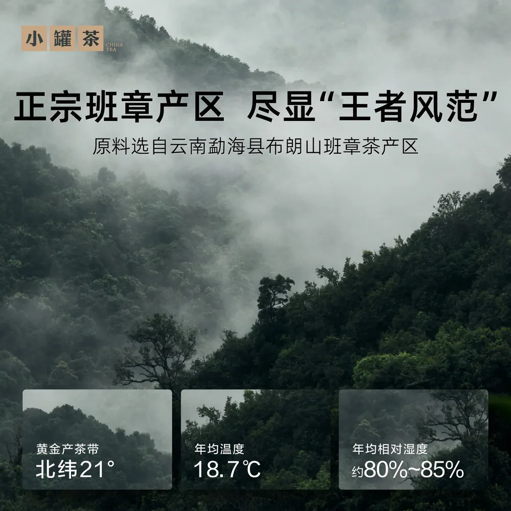 小罐茶年份茶班章普洱熟茶
