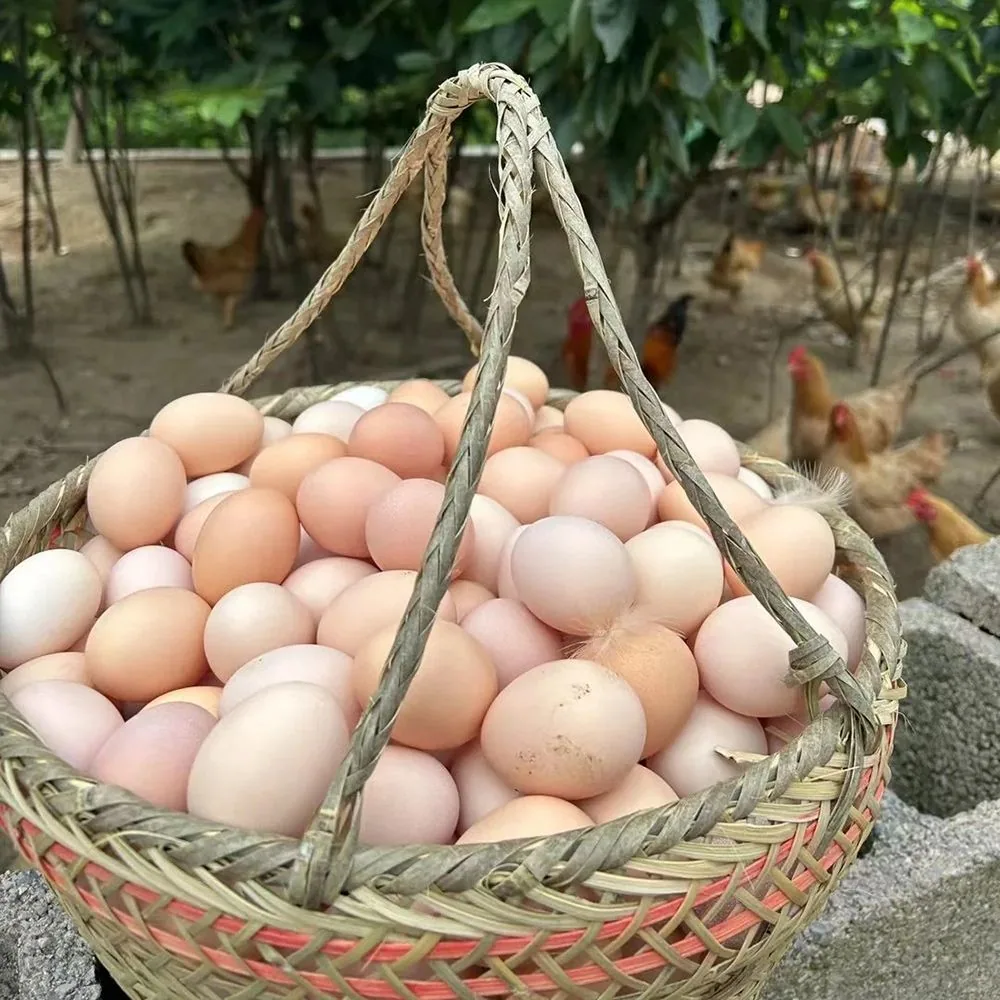 皖南小镇可生食鸡蛋30枚45g整箱（细节图 2）