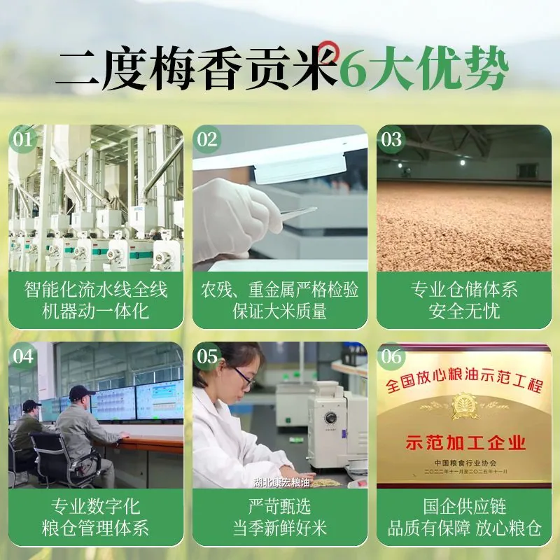 二度梅香贡米5斤真空包装长粒丝苗米（细节图 2）