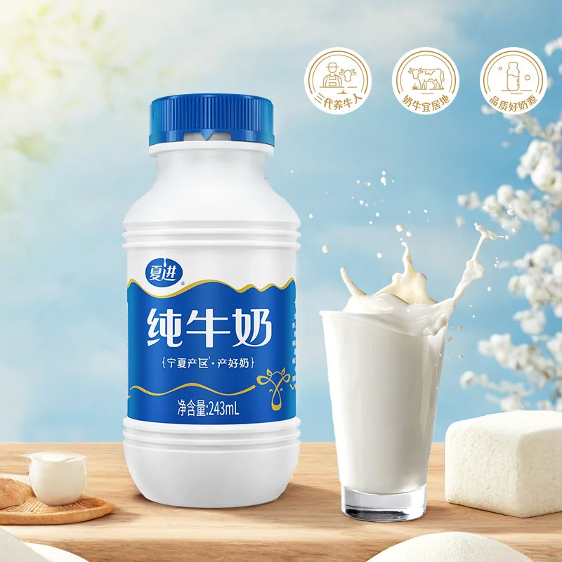 夏进纯牛奶243ml*15瓶
