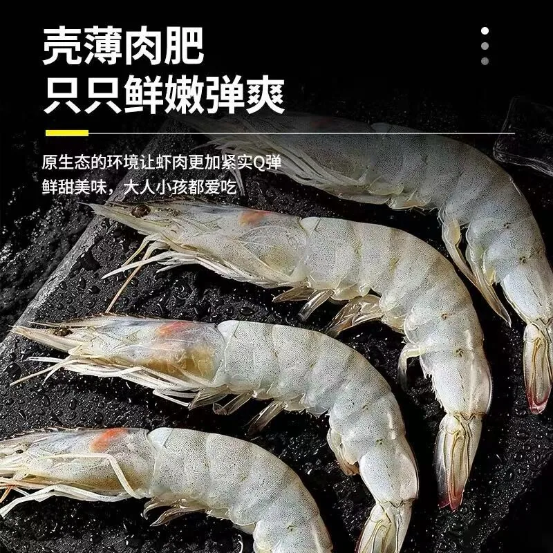 厄瓜多尔南美大虾2.8斤