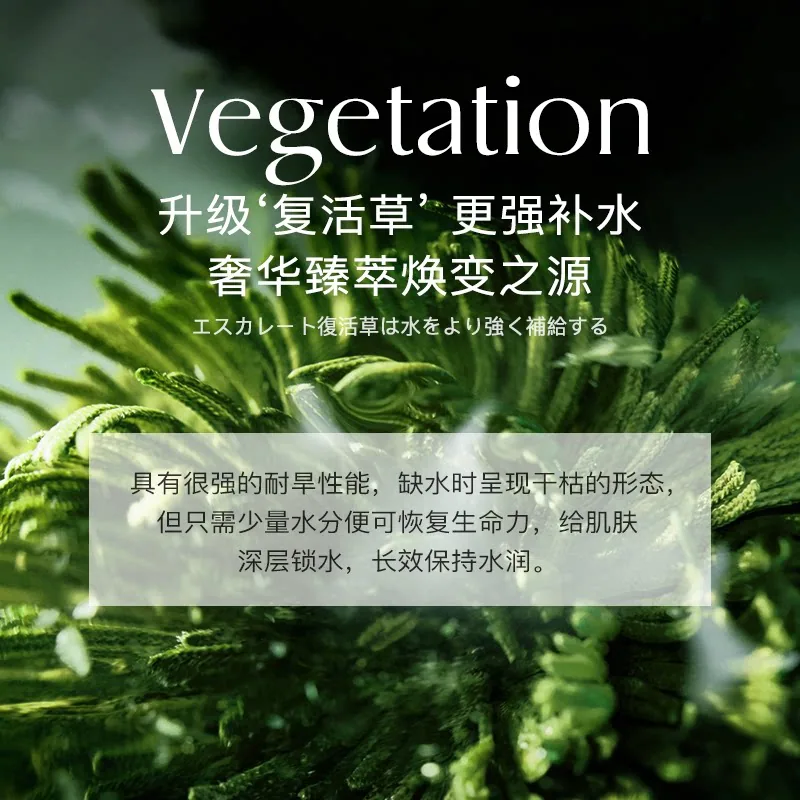 NOFN亚马逊泥膜140g大罐装（细节图 2）