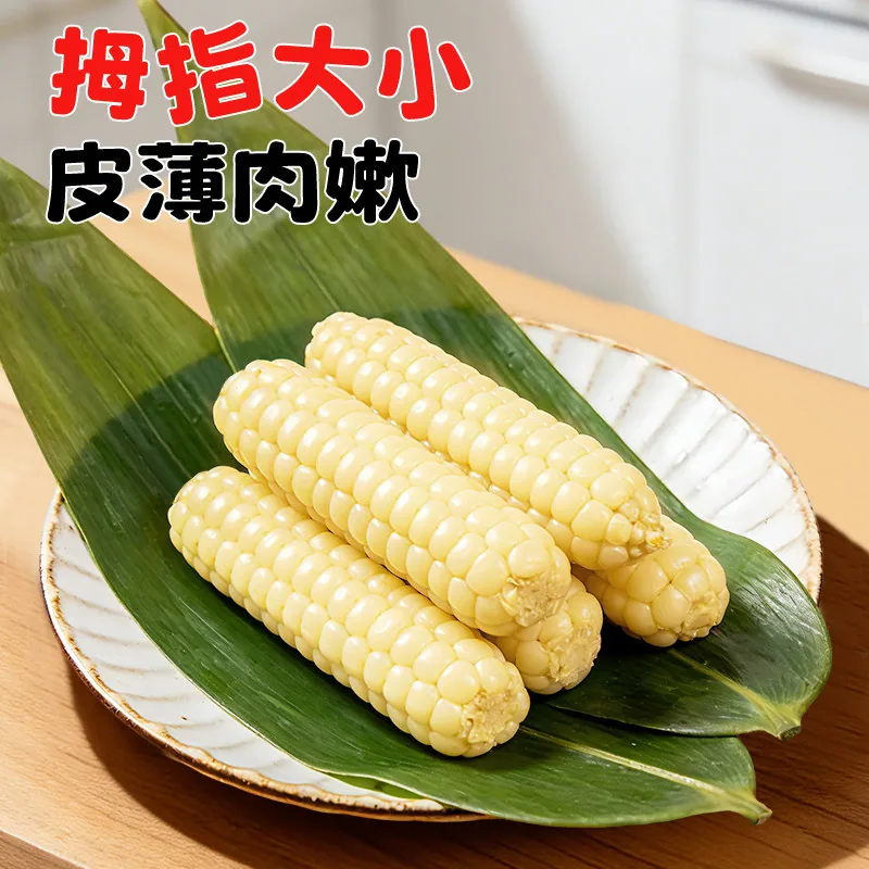 芽芽乐云南西双版纳拇指玉米