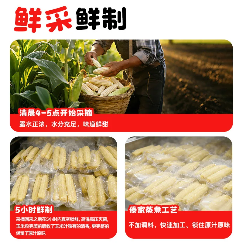 芽芽乐云南西双版纳拇指玉米两袋装约12根一斤（细节图 2）