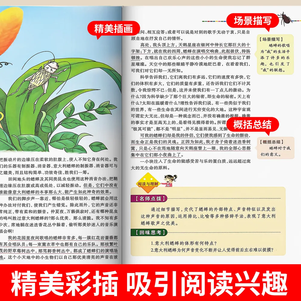 难不倒昆虫记等小学必读书大厚本实拍（细节图 1）