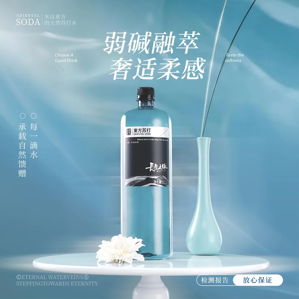 长生之脉天然苏打水500ml*24瓶