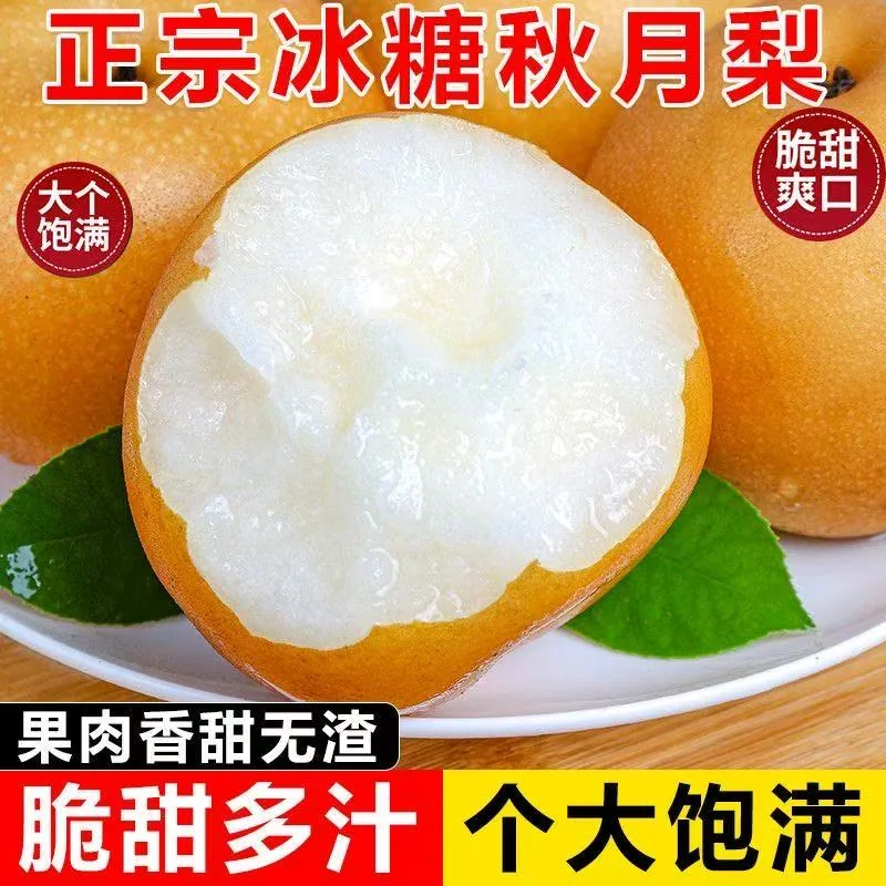 天天特卖工厂秋月梨4.5斤