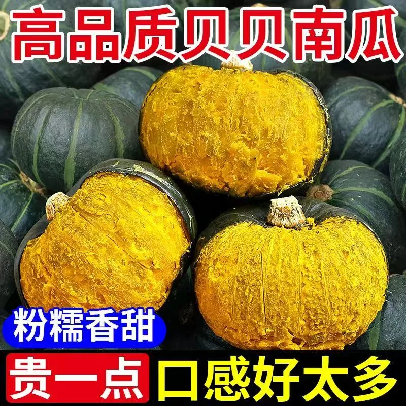 正宗贝贝南瓜300g+大果