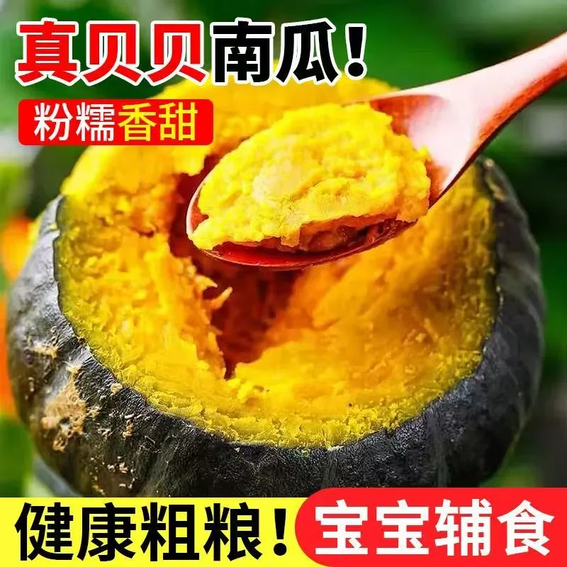 天天特卖工厂正宗贝贝南瓜4.5斤装（细节图 1）