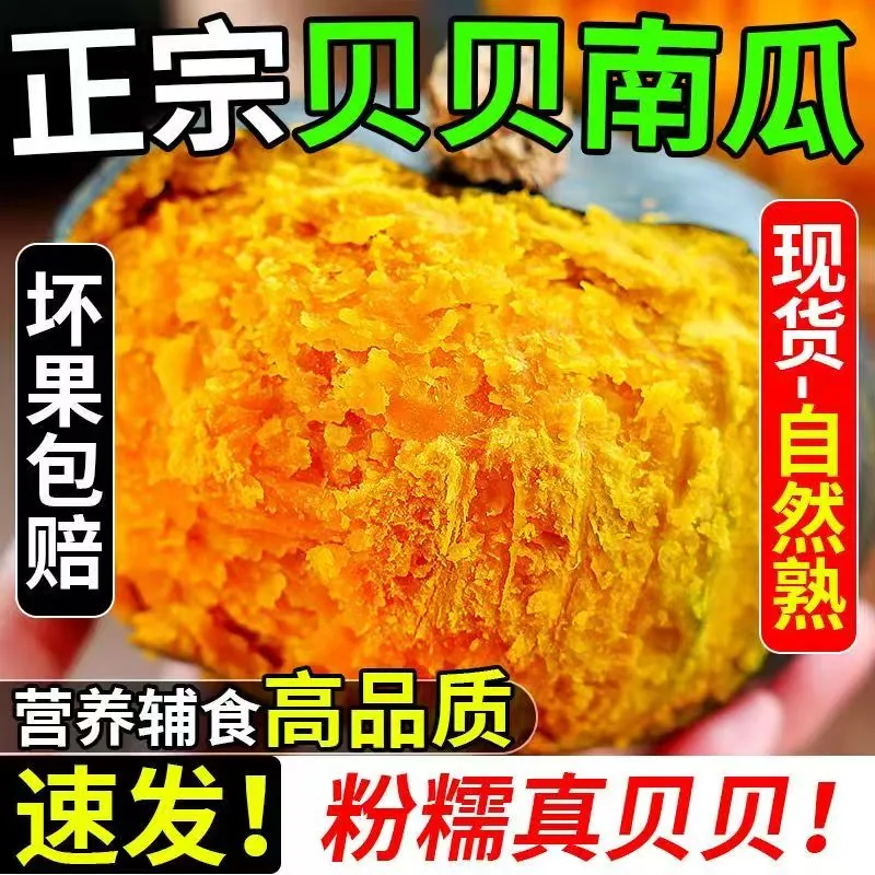天天特卖工厂正宗贝贝南瓜4.5斤装（细节图 2）