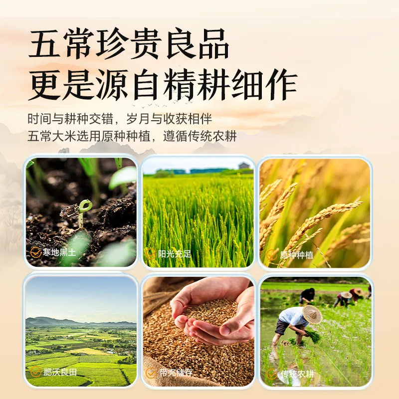 鹰标五常大米10斤装米粒饱满（细节图 1）