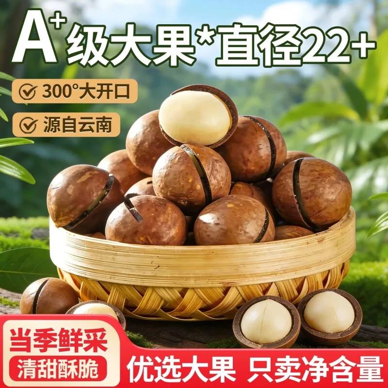 国货严选夏威夷果500g袋装