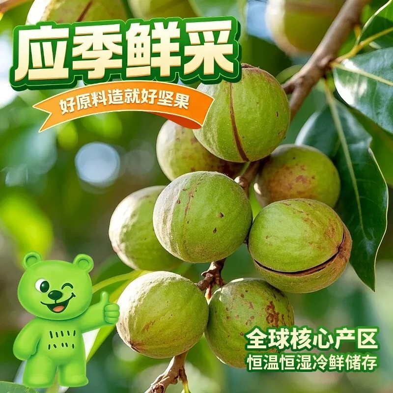 国货严选夏威夷果500g袋装大果（细节图 2）