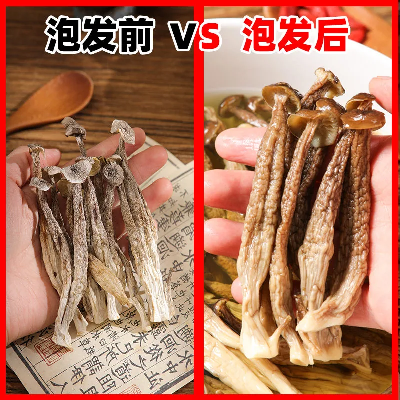 九邑优品古田头茬高山鹿茸菇干50g*2袋（细节图 2）