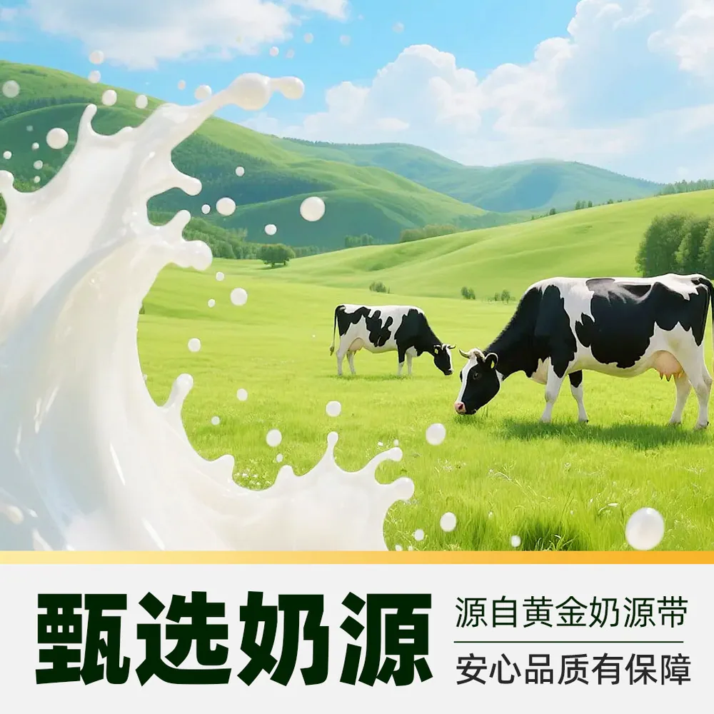 妙可蓝多马苏里拉奶酪800g