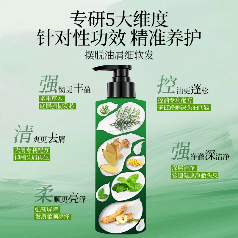 霸王强韧丰盈侧柏叶洗发水