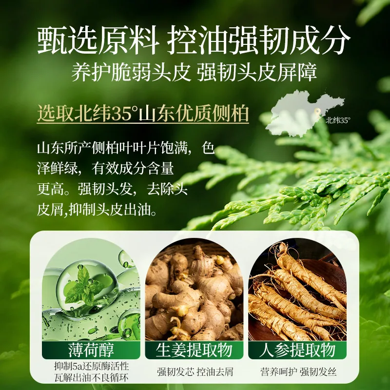 霸王强韧丰盈侧柏叶洗发水500ml三瓶装（细节图 2）