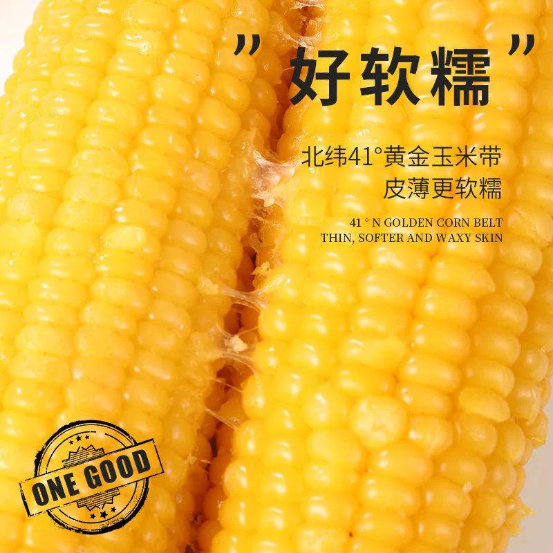 轻语拾光黄糯白糯玉米220g*8根