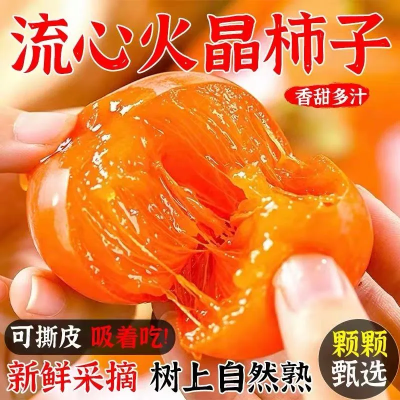 山西火晶柿子24颗大果独立泡沫隔层（细节图 1）