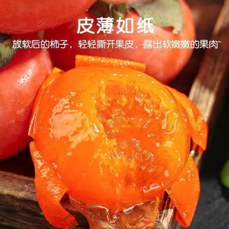 山西火晶柿子24颗大果独立泡沫隔层（细节图 2）