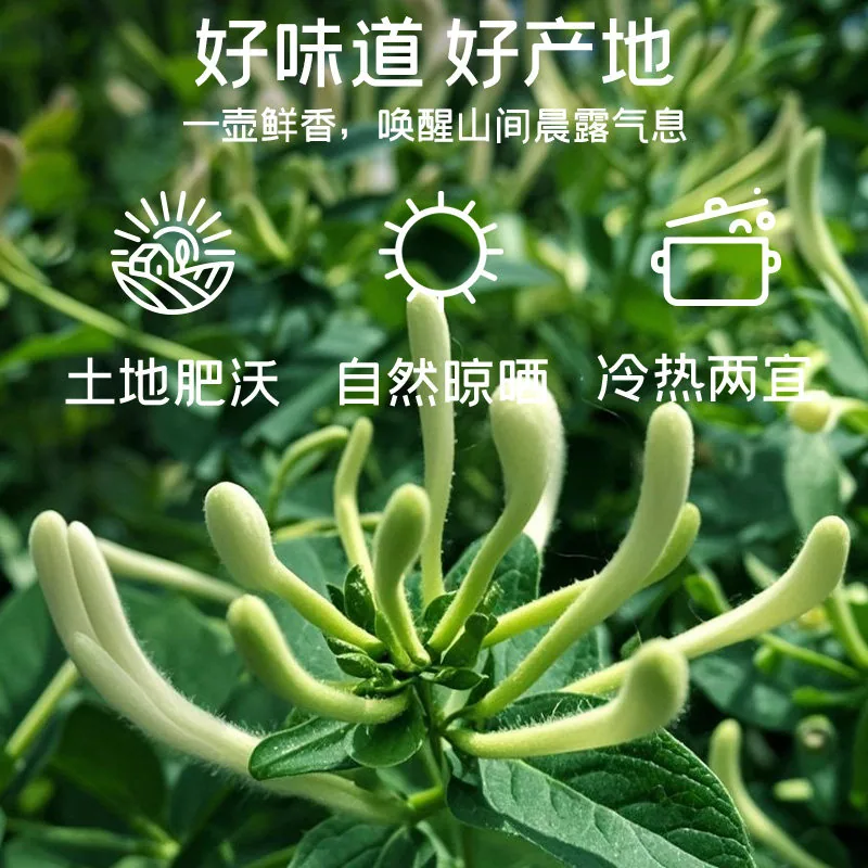 富昌临门金银花30g×2罐