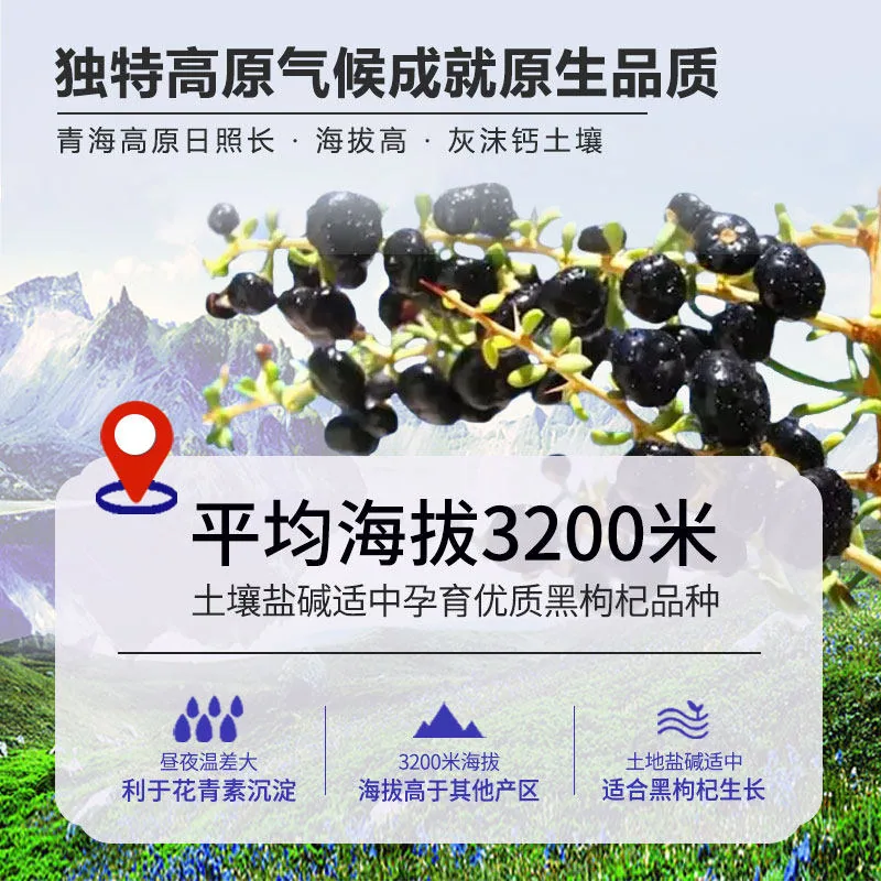 天景山青海黑枸杞80g两瓶装（细节图 1）